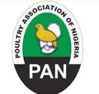 PAN Logo